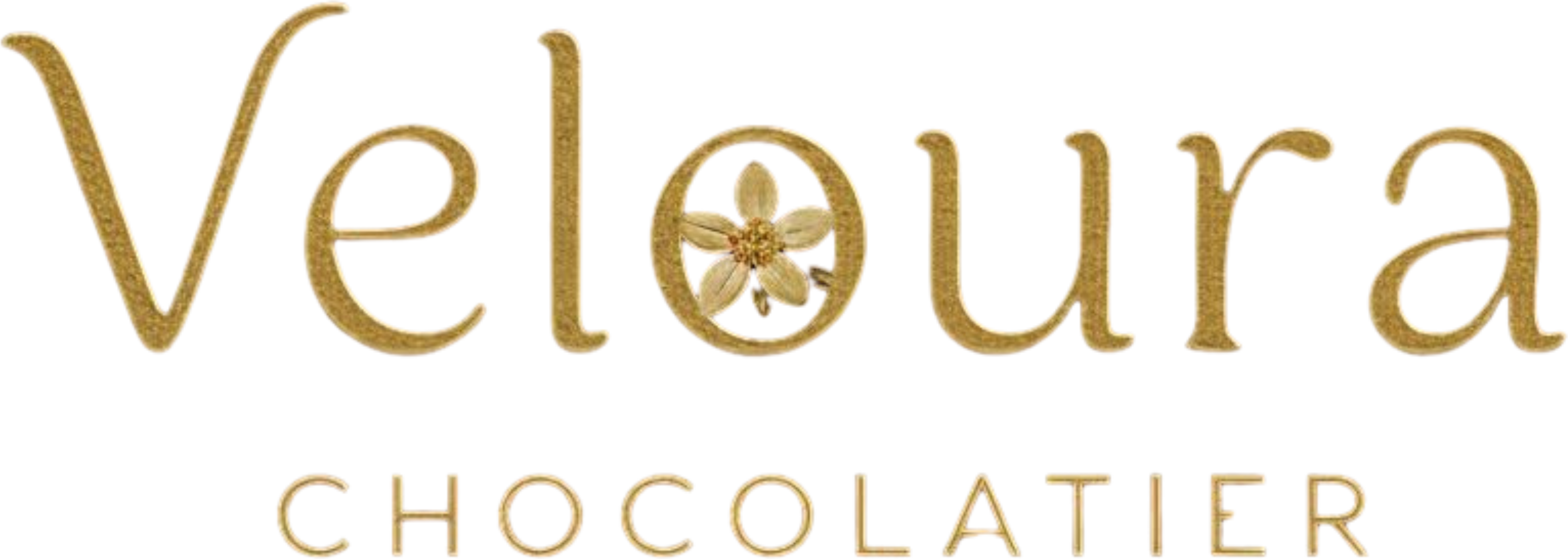 Veloura Logo